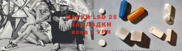 гашик Бикин