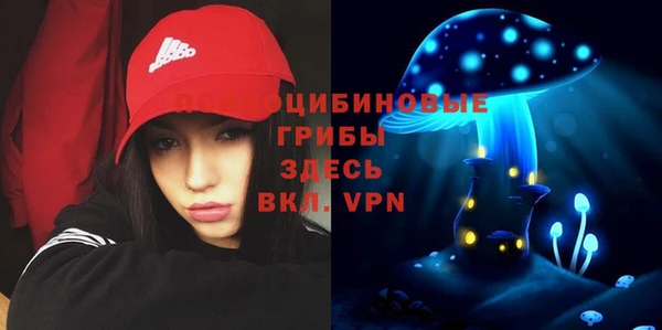 альфа пвп Верхнеуральск